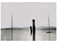 1943092008  Irvin McLaughlin - WWII - Italy - 1943-1945