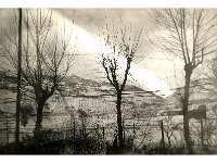 1943095006  Irvin McLaughlin - WWII - Italy - 1943-1945