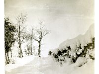 1943095009  Irvin McLaughlin - WWII - Italy - 1943-1945