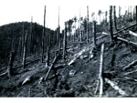 1943095021  Irvin McLaughlin - WWII - Italy - 1943-1945