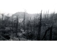 1943095023  Irvin McLaughlin - WWII - Italy - 1943-1945