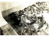 1943095025  Irvin McLaughlin - WWII - Italy - 1943-1945