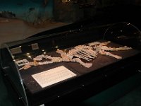 2005021111 Sydney, Austrailia (February 6 - 8, 2005)