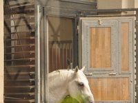 2013094943 Vienna Austria - Sept 20