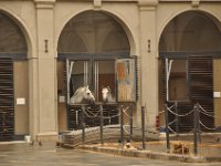 2013094948 Vienna Austria - Sept 20