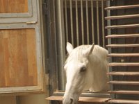 2013094951 Vienna Austria - Sept 20