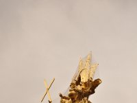 2013094899 Vienna Austria - Sept 20