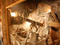 2008063112  Betty-Darrel-Yvette-Felicia-Suzette-Adara Belgium