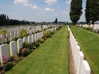 2008063136  Betty-Darrel-Yvette-Felicia-Suzette-Adara Belgium