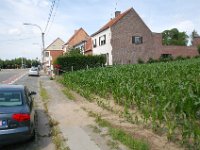 2008063299  Betty-Darrel-Yvette-Felicia-Suzette-Adara Belgium