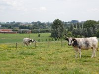 2008063317  Betty-Darrel-Yvette-Felicia-Suzette-Adara Belgium