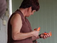 2008063376  Betty-Darrel-Yvette-Felicia-Suzette-Adara Belgium