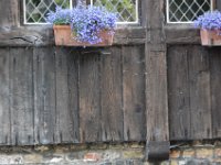 2008063432  Betty-Darrel-Yvette-Felicia-Suzette-Adara Belgium