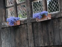 2008063433  Betty-Darrel-Yvette-Felicia-Suzette-Adara Belgium