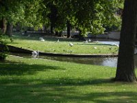 2008063471  Betty-Darrel-Yvette-Felicia-Suzette-Adara Belgium