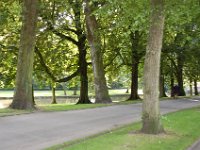 2008063502  Betty-Darrel-Yvette-Felicia-Suzette-Adara Belgium