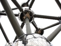 2008063509  Betty-Darrel-Yvette-Felicia-Suzette-Adara Belgium