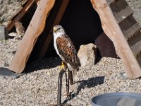 2013097688 Bouillon Castle Belgium - Sept 24