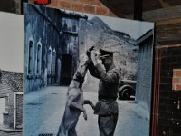 2013099179 Breendonk Memorial, Belgium - Sept 29