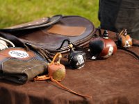 2013098686 Falcon Exhibition - Han Belgium - Sept 28