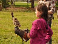 2013098713 Falcon Exhibition - Han Belgium - Sept 28
