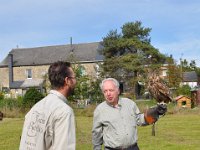 2013098716 Falcon Exhibition - Han Belgium - Sept 28