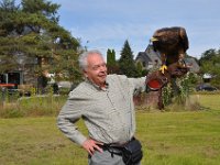 2013098729 Falcon Exhibition - Han Belgium - Sept 28