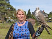2013098735 Falcon Exhibition - Han Belgium - Sept 28