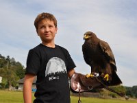 2013098750 Falcon Exhibition - Han Belgium - Sept 28