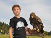 2013098751 Falcon Exhibition - Han Belgium - Sept 28