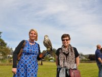 2013098752 Falcon Exhibition - Han Belgium - Sept 28