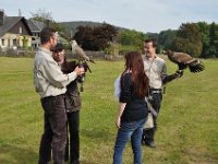 2013098759 Falcon Exhibition - Han Belgium - Sept 28