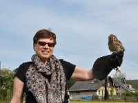 2013098762 Falcon Exhibition - Han Belgium - Sept 28