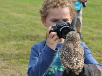 2013098784 Falcon Exhibition - Han Belgium - Sept 28