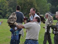 2013098791 Falcon Exhibition - Han Belgium - Sept 28