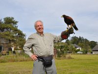 2013098793 Falcon Exhibition - Han Belgium - Sept 28