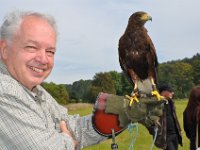 2013098800 Falcon Exhibition - Han Belgium - Sept 28