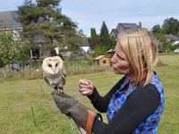 2013098806 Falcon Exhibition - Han Belgium - Sept 28