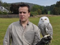 2013098818 Falcon Exhibition - Han Belgium - Sept 28