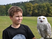 2013098826 Falcon Exhibition - Han Belgium - Sept 28