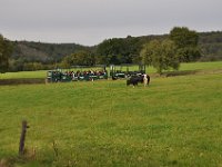 2013098864 Falcon Exhibition - Han Belgium - Sept 28