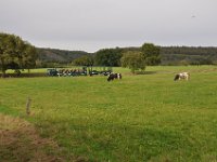 2013098866 Falcon Exhibition - Han Belgium - Sept 28