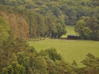 2013098878 Falcon Exhibition - Han Belgium - Sept 28