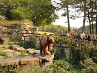 2013099033 Falcon Exhibition - Han Belgium - Sept 28