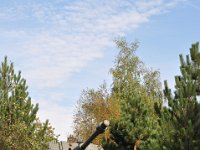 2013098177 Malmandy Belgium - Sept 25