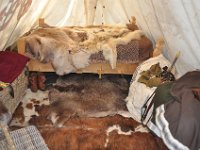 2013099065 Falcon Exhibition - Han, Belgium - Sept 28