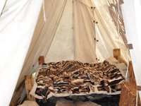 2013099066 Falcon Exhibition - Han, Belgium - Sept 28