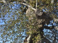 2013092692 Mostar Bosnia-Herzegovina - Sept 12