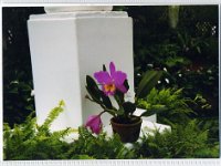 1998061074 Darrel and Betty Hagberg - Brazil : Betty Hagberg