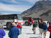 2010076891 Columbia Icefield - Jasper Nat Park - Alberta - Canada  - Jul 29